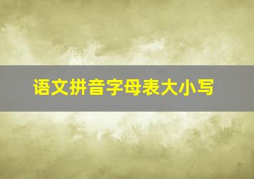 语文拼音字母表大小写