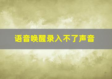 语音唤醒录入不了声音