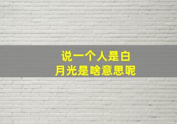 说一个人是白月光是啥意思呢