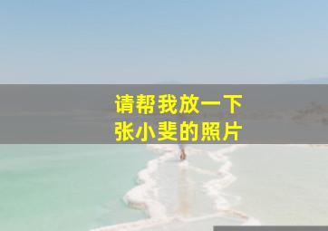 请帮我放一下张小斐的照片