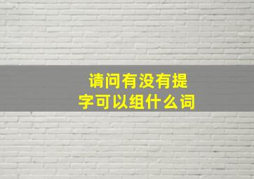 请问有没有提字可以组什么词