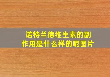 诺特兰德维生素的副作用是什么样的呢图片