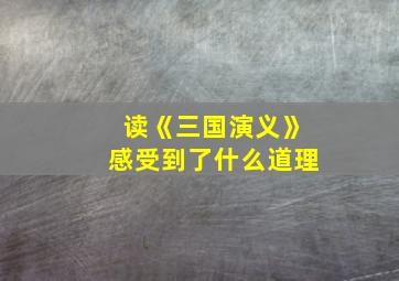 读《三国演义》感受到了什么道理