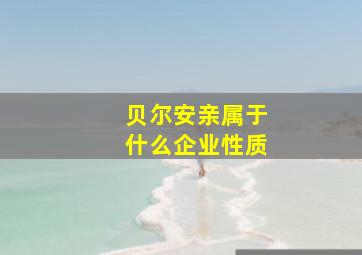 贝尔安亲属于什么企业性质