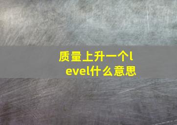 质量上升一个level什么意思