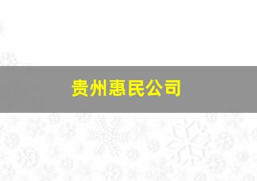 贵州惠民公司