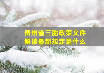 贵州省三胎政策文件解读最新规定是什么