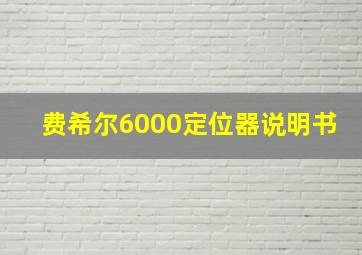 费希尔6000定位器说明书