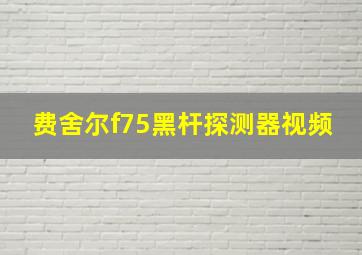 费舍尔f75黑杆探测器视频