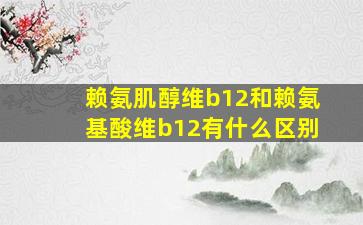 赖氨肌醇维b12和赖氨基酸维b12有什么区别