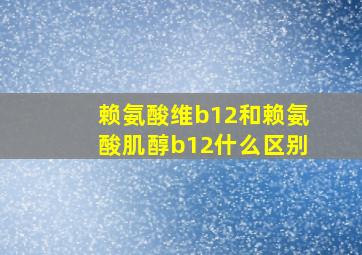 赖氨酸维b12和赖氨酸肌醇b12什么区别