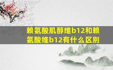 赖氨酸肌醇维b12和赖氨酸维b12有什么区别