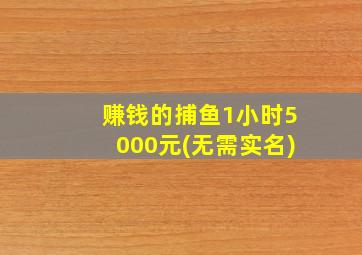 赚钱的捕鱼1小时5000元(无需实名)