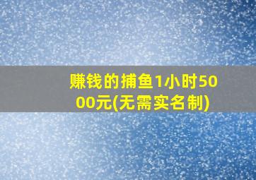 赚钱的捕鱼1小时5000元(无需实名制)