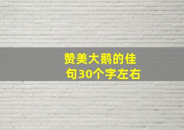 赞美大鹅的佳句30个字左右