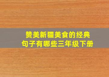 赞美新疆美食的经典句子有哪些三年级下册