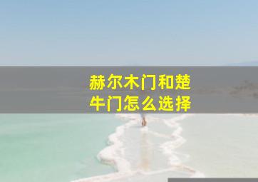 赫尔木门和楚牛门怎么选择