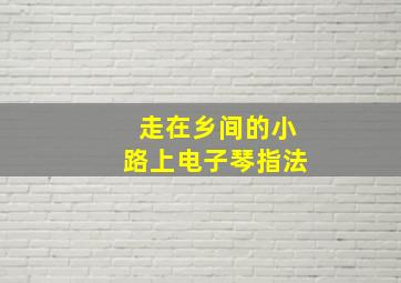 走在乡间的小路上电子琴指法