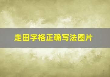 走田字格正确写法图片