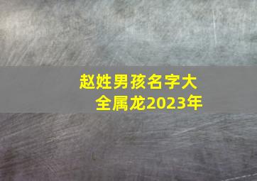 赵姓男孩名字大全属龙2023年