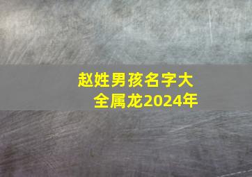 赵姓男孩名字大全属龙2024年