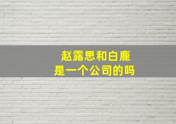 赵露思和白鹿是一个公司的吗