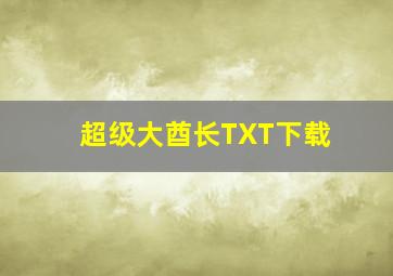 超级大酋长TXT下载