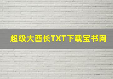 超级大酋长TXT下载宝书网