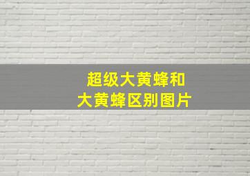 超级大黄蜂和大黄蜂区别图片