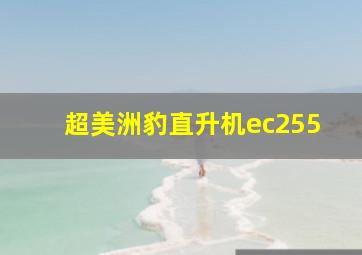 超美洲豹直升机ec255