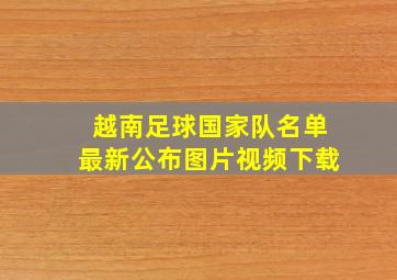 越南足球国家队名单最新公布图片视频下载