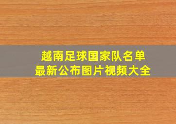 越南足球国家队名单最新公布图片视频大全