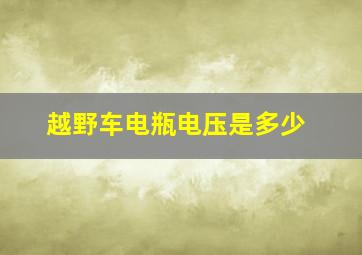 越野车电瓶电压是多少