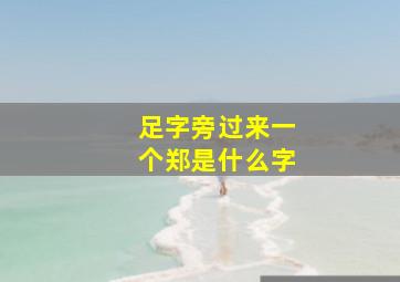 足字旁过来一个郑是什么字