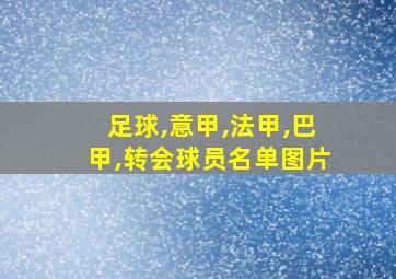 足球,意甲,法甲,巴甲,转会球员名单图片