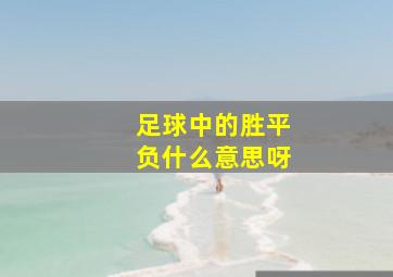 足球中的胜平负什么意思呀