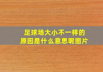 足球场大小不一样的原因是什么意思呢图片