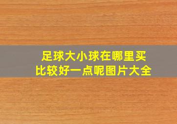 足球大小球在哪里买比较好一点呢图片大全