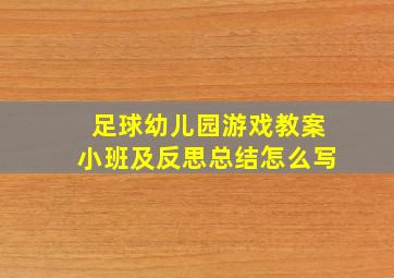 足球幼儿园游戏教案小班及反思总结怎么写