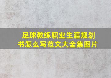 足球教练职业生涯规划书怎么写范文大全集图片