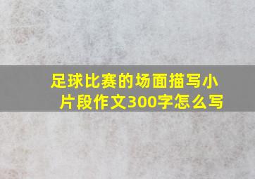 足球比赛的场面描写小片段作文300字怎么写