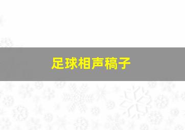 足球相声稿子