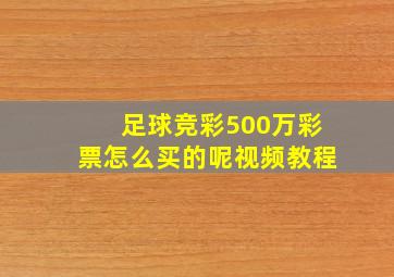 足球竞彩500万彩票怎么买的呢视频教程