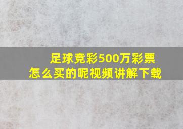 足球竞彩500万彩票怎么买的呢视频讲解下载