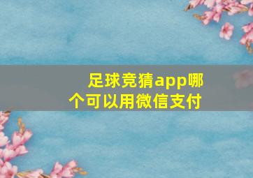 足球竞猜app哪个可以用微信支付