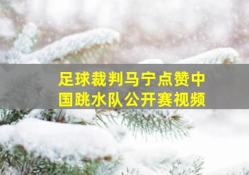 足球裁判马宁点赞中国跳水队公开赛视频