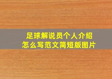 足球解说员个人介绍怎么写范文简短版图片