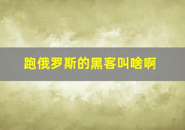 跑俄罗斯的黑客叫啥啊