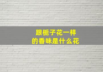 跟栀子花一样的香味是什么花