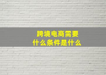 跨境电商需要什么条件是什么